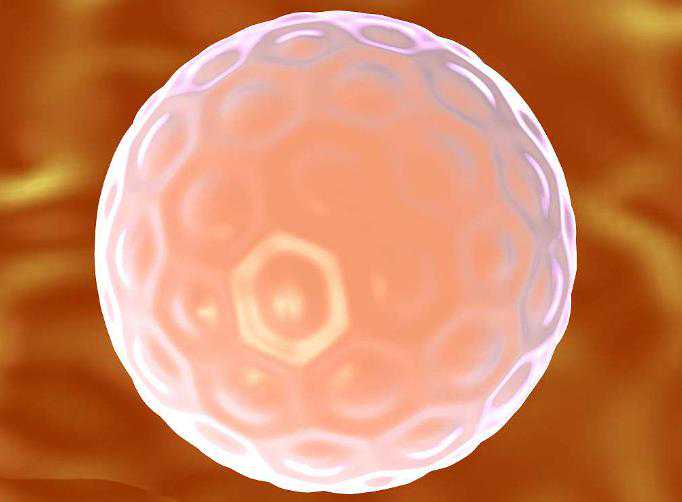 孕早期三月饮食与体重管理指南