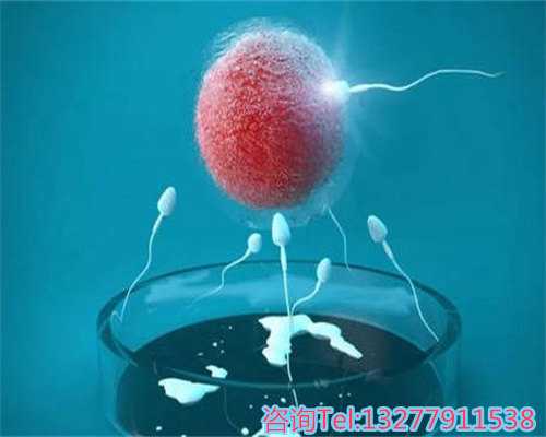 晋江安海医院代怀服务优势与专业介绍