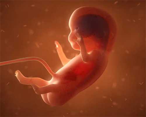 拉萨试管代怀包生男孩指南与备孕知识