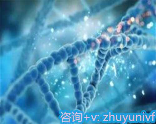 孕早期柚子的健康益处与注意事项：孕妇食用指南