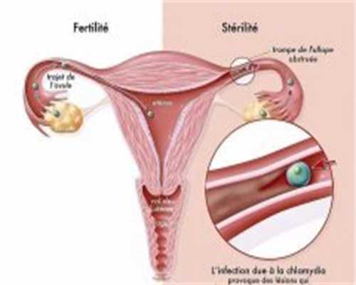 孕初期洗澡安全指南与注意事项