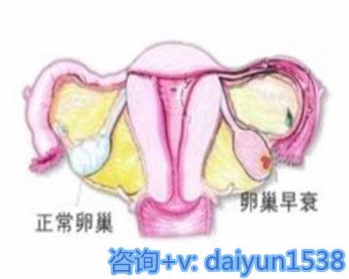 俄罗斯代孕费用与咸阳生殖科医院推荐