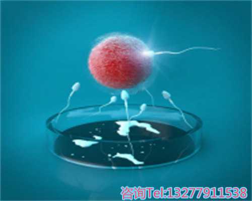 月经周期如何影响备孕计划与生育机会